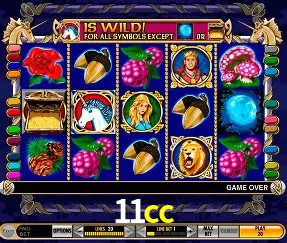 Descubra o Mundo do Cassino Online com 11cc